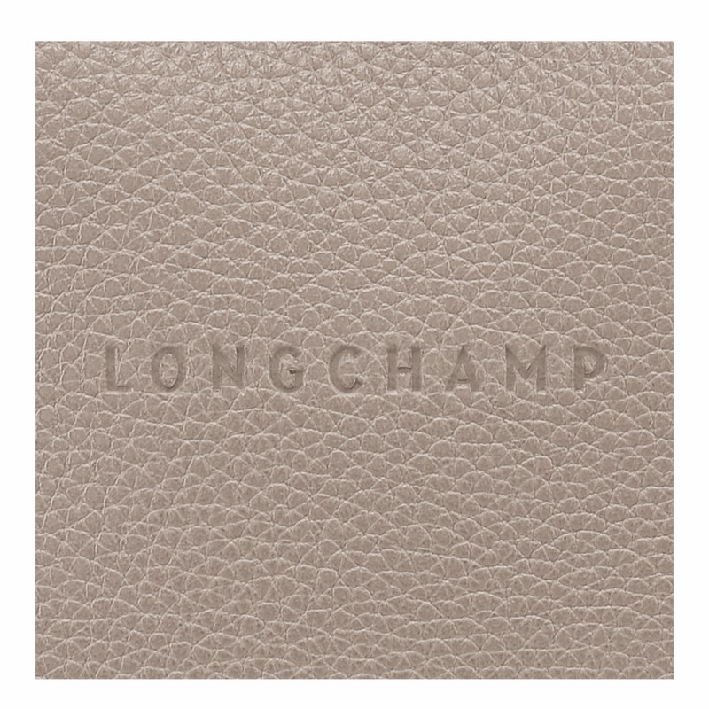 Longchamp Le FOULONNÉ M Crossbodytassen Dames Grijs Uitverkoop | 10140021P55