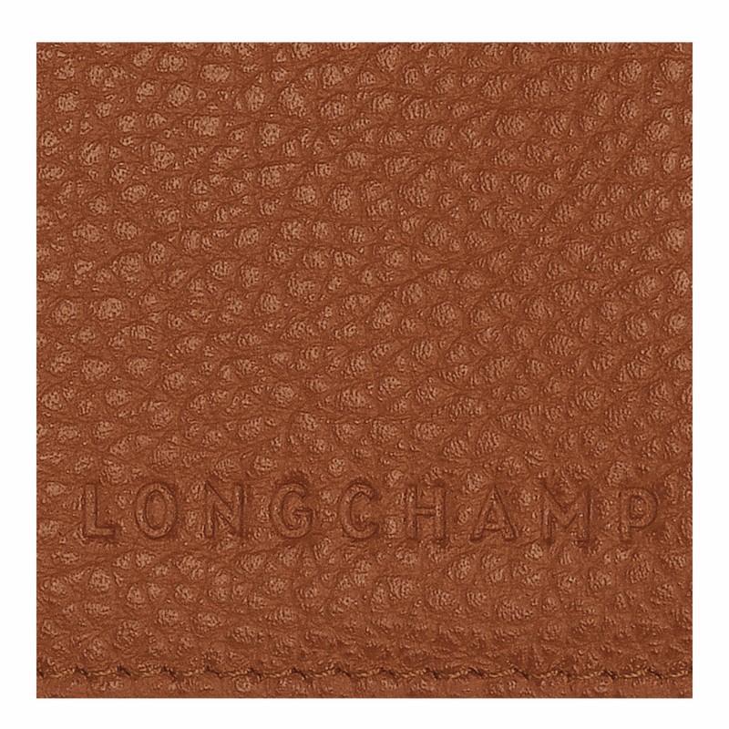 Longchamp Le FOULONNÉ Paspoorthouder Dames Caramel Uitverkoop | L3416021121
