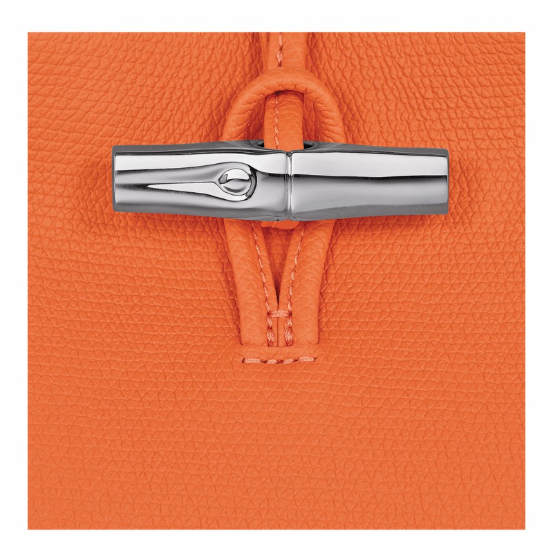 Longchamp Le Roseau S Handtas Dames Oranje Uitverkoop | 10273HFP017